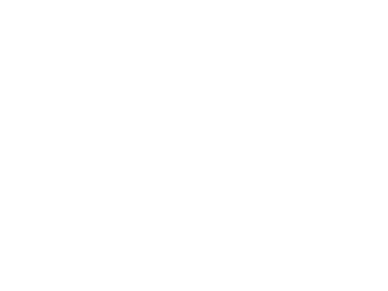 Schrader Porsche Works Logo